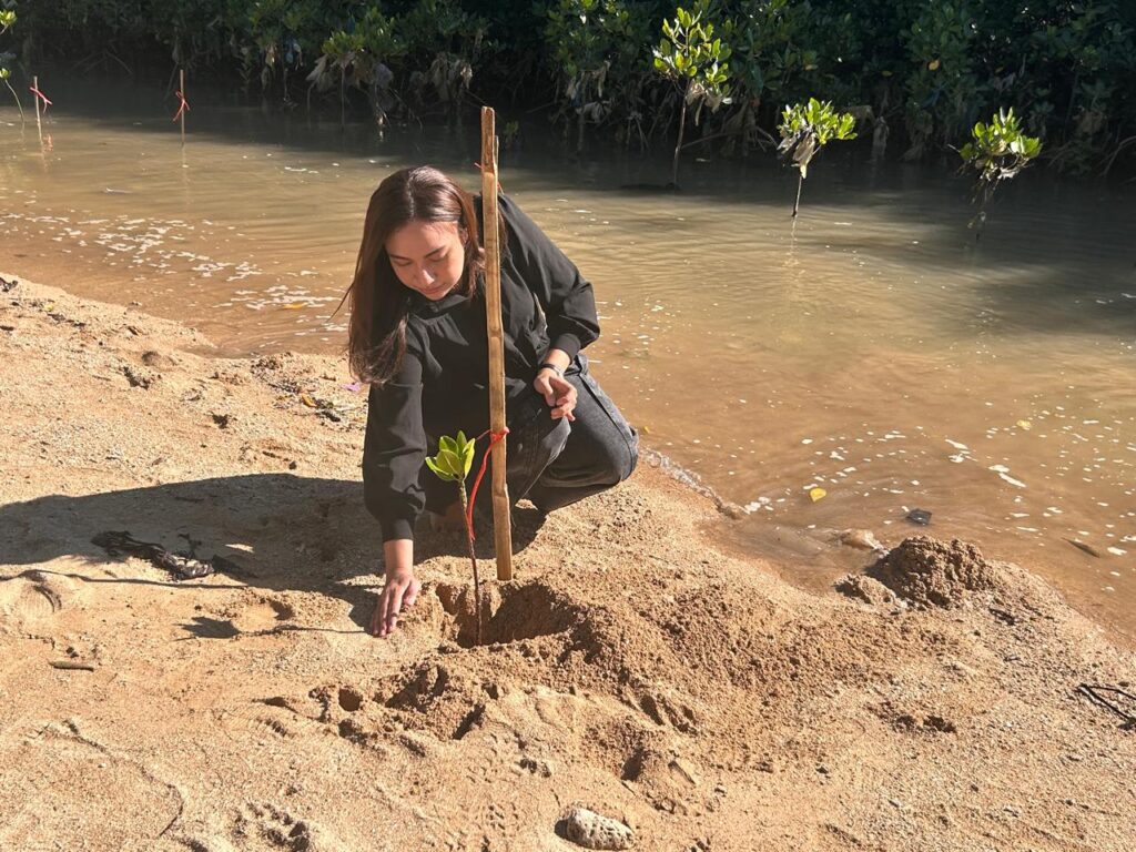 Wawali Serena Francis Penanaman Mangrove