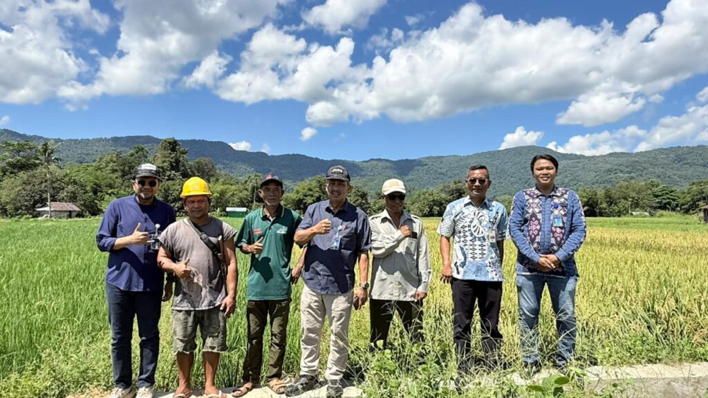 Bulog NTT saat di Area Persawahan Lembor