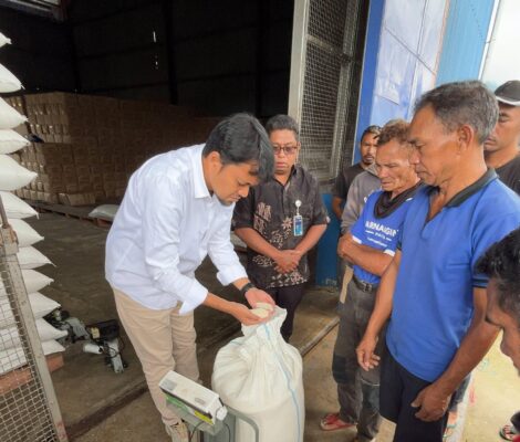 Peyerapan Beras Petani di Kabupaten Manggarai NTT
