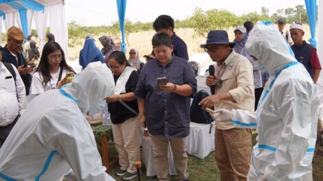 Petani mangga dan perwakilan pemerintah Filipina mengunjungi Indonesia untuk mempelajari pengendalian hama dan pengolahan pascapanen berkelanjutan pada 12-15 Oktober 2026. (Kredit foto: FAO/Harriansyah)