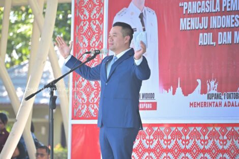 Wali Kota Kupang, Chris Widodo